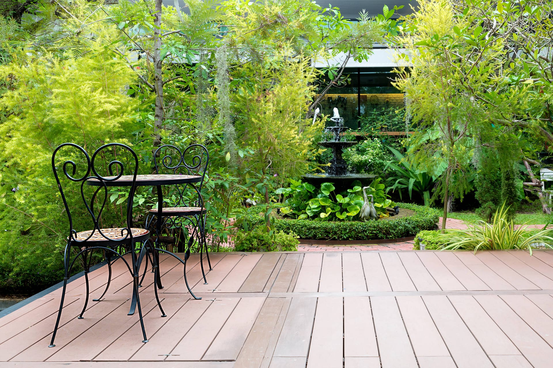 Installer des plantes adaptées à votre patio